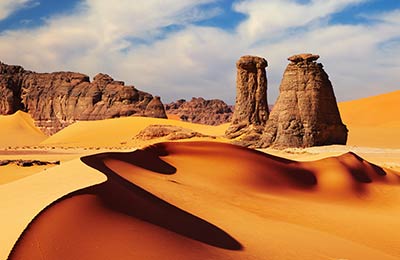 Consultez nos Dernières Offres Spéciales !