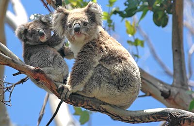 Consultez les Meilleurs Prix trouvés par nos Clients ces derniers jours