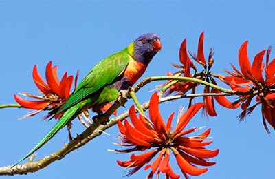 Consultez nos Dernières Offres Spéciales !