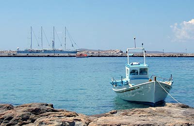 Consultez nos Dernières Offres Spéciales !