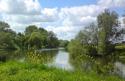 Consultez nos Dernières Offres Spéciales !