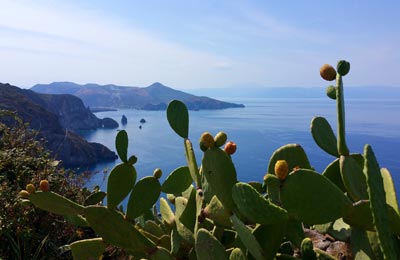 Consultez nos Dernières Offres Spéciales !