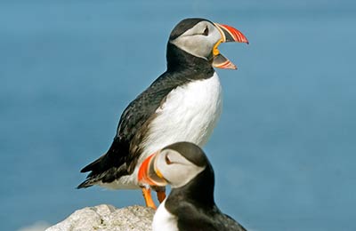 Consultez les Meilleurs Prix trouvés par nos Clients ces derniers jours