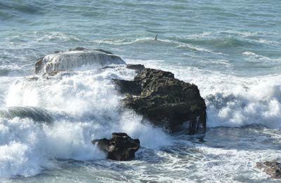 Consultez nos Dernières Offres Spéciales !
