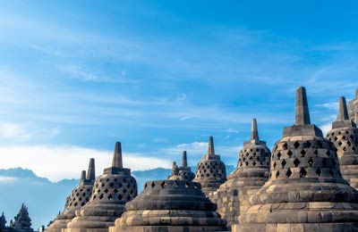 Consultez les Meilleurs Prix trouvés par nos Clients ces derniers jours