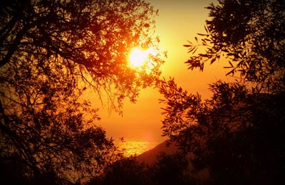 Consultez les Meilleurs Prix trouvés par nos Clients ces derniers jours