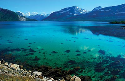 Consultez les Meilleurs Prix trouvés par nos Clients ces derniers jours