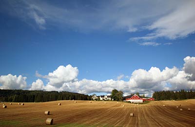 Consultez les Meilleurs Prix trouvés par nos Clients ces derniers jours