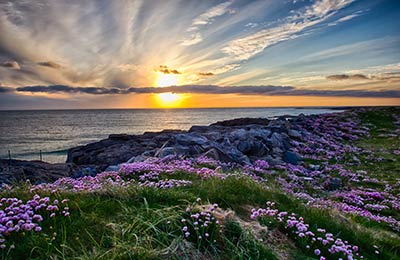 Consultez les Meilleurs Prix trouvés par nos Clients ces derniers jours