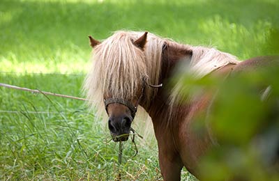 Consultez les Meilleurs Prix trouvés par nos Clients ces derniers jours