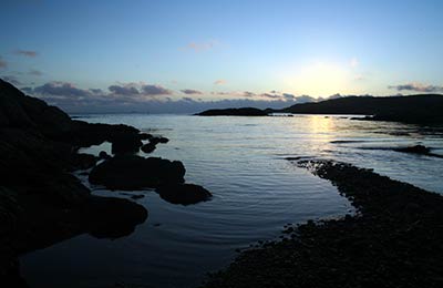 Consultez nos Dernières Offres Spéciales !