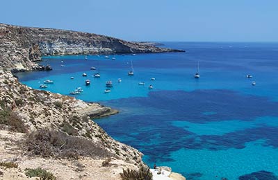 Consultez nos Dernières Offres Spéciales !